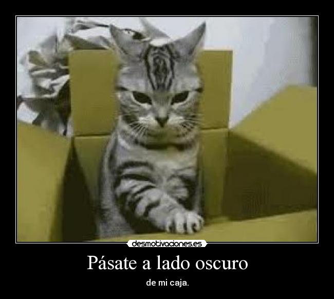 carteles gato desmotivaciones