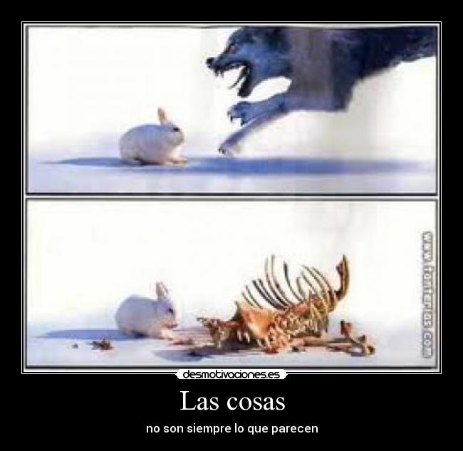 Las cosas - 