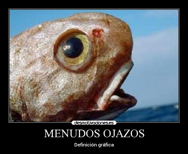 MENUDOS OJAZOS -