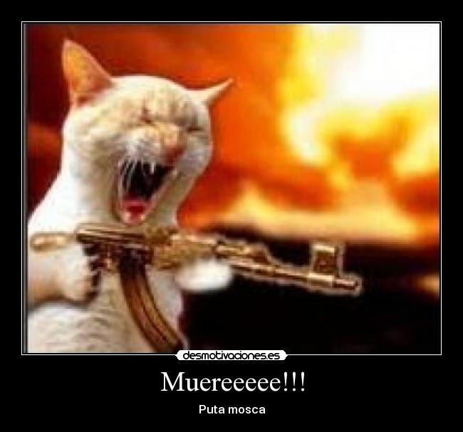 carteles desmotivaciones