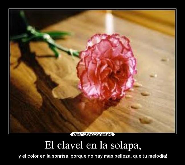 El clavel en la solapa, -