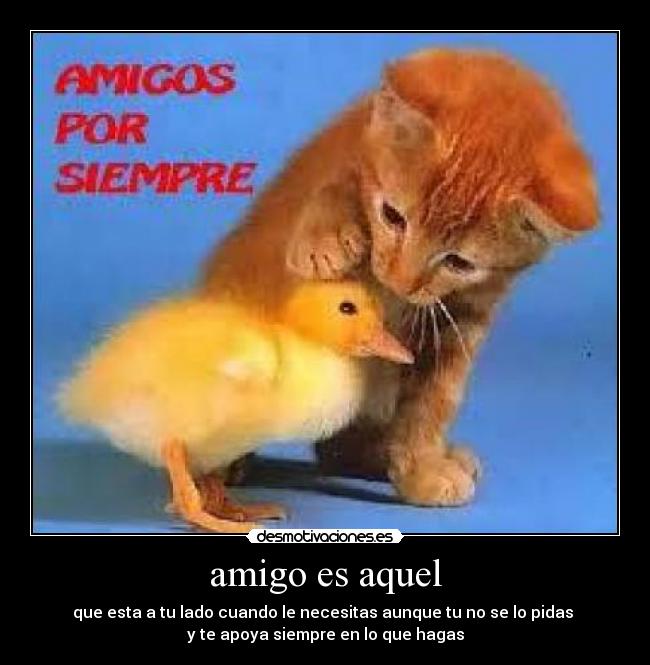 amigo es aquel - que esta a tu lado cuando le necesitas aunque tu no se lo pidas
y te apoya siempre en lo que hagas