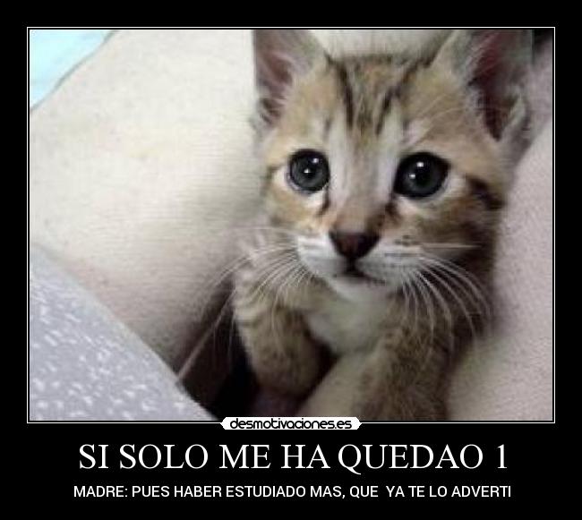 SI SOLO ME HA QUEDAO 1 - MADRE: PUES HABER ESTUDIADO MAS, QUE  YA TE LO ADVERTI