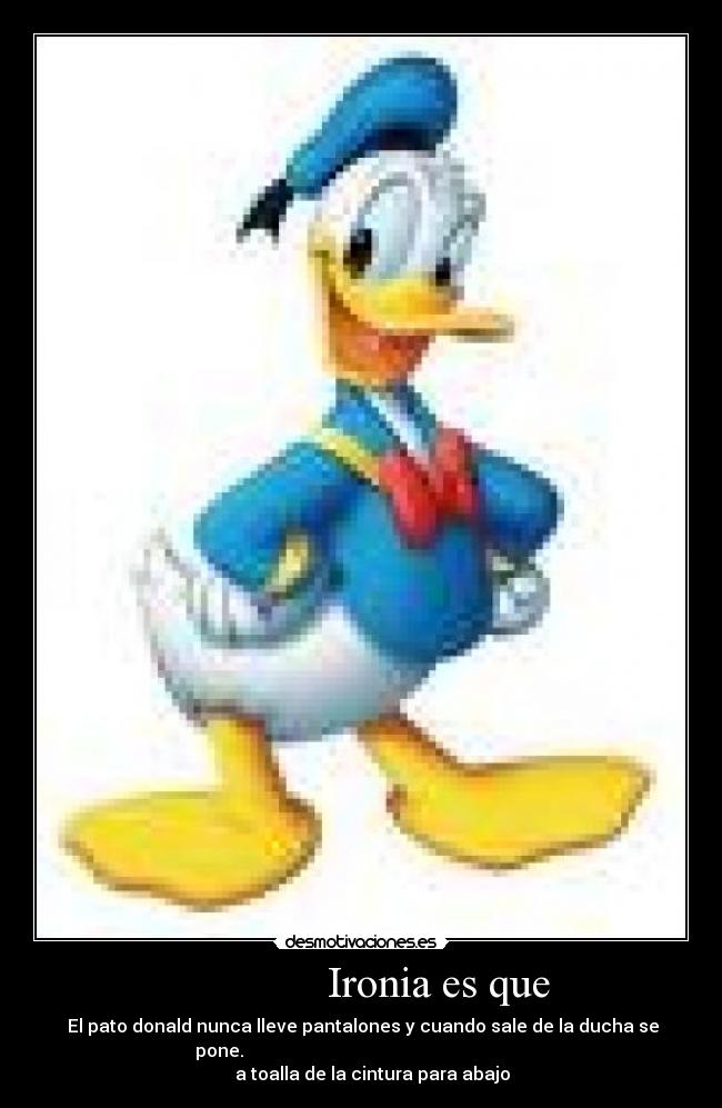 Ironia es que - El pato donald nunca lleve pantalones y cuando sale de la ducha se
pone.
a toalla de la cintura para abajo