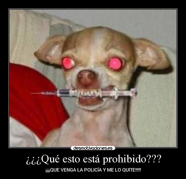 ¿¿¿Qué esto está prohibido??? - ¡¡¡¡QUE VENGA LA POLICÍA Y ME LO QUITE!!!!!