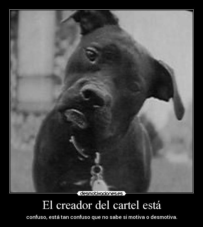 El creador del cartel está -