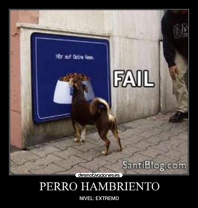 PERRO HAMBRIENTO - NIVEL: EXTREMO