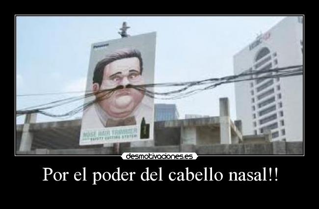 carteles cabello nasal desmotivaciones