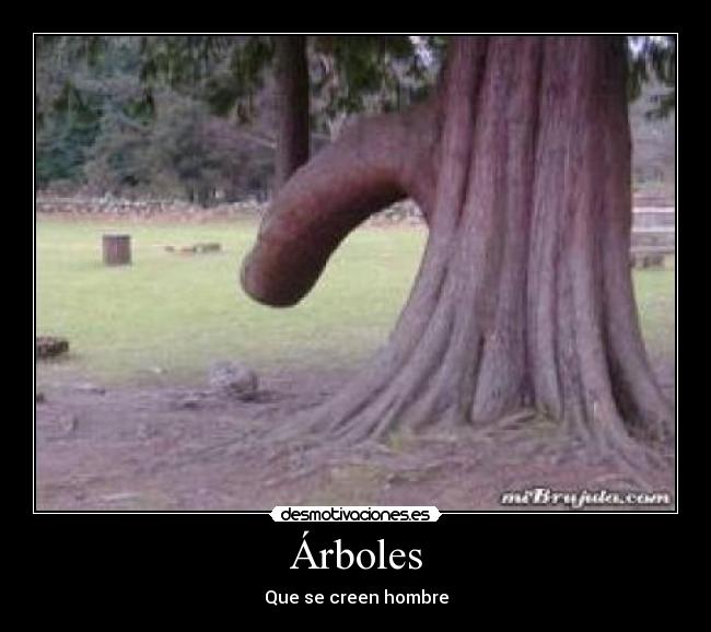 Árboles -