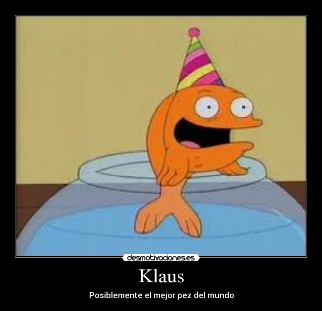 Klaus - Posiblemente el mejor pez del mundo