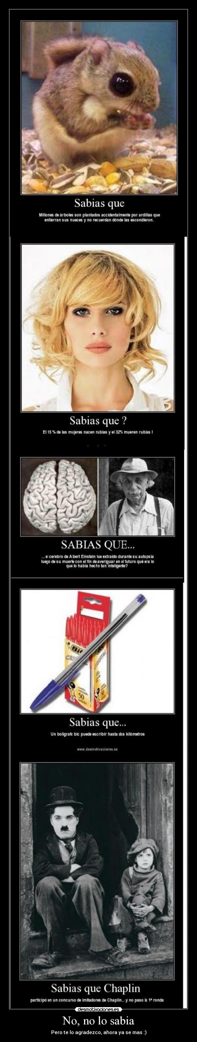 No, no lo sabia -