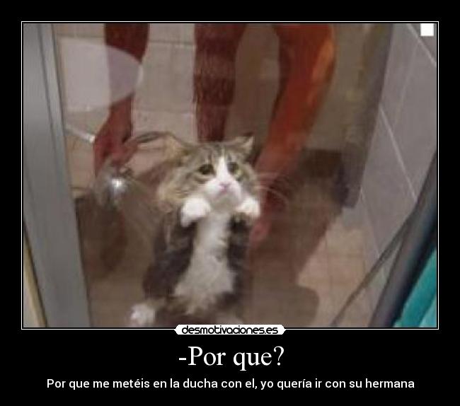 -Por que? - Por que me metéis en la ducha con el, yo quería ir con su hermana