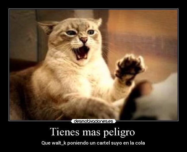 Tienes mas peligro -