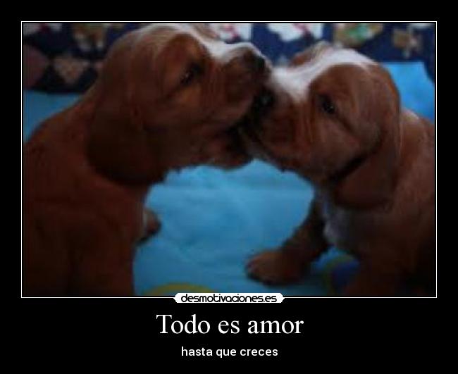 Todo es amor -