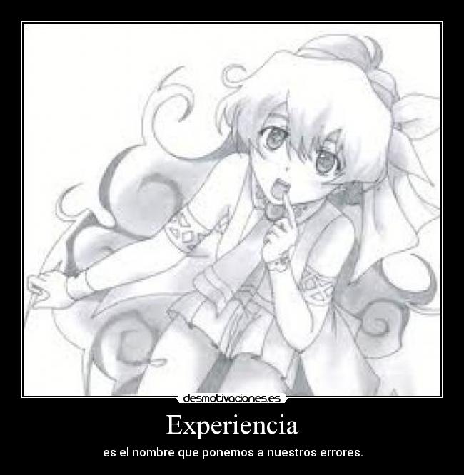 Experiencia - 