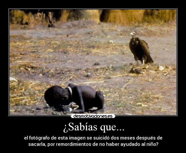 ¿Sabías que... - 