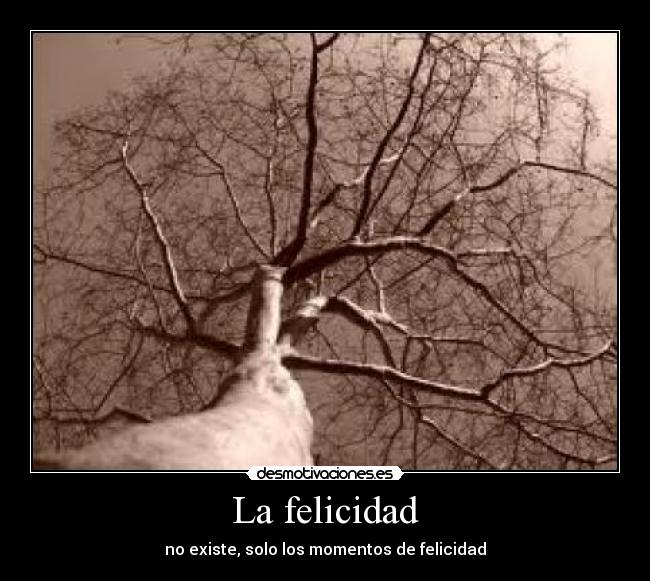 La felicidad - no existe, solo los momentos de felicidad