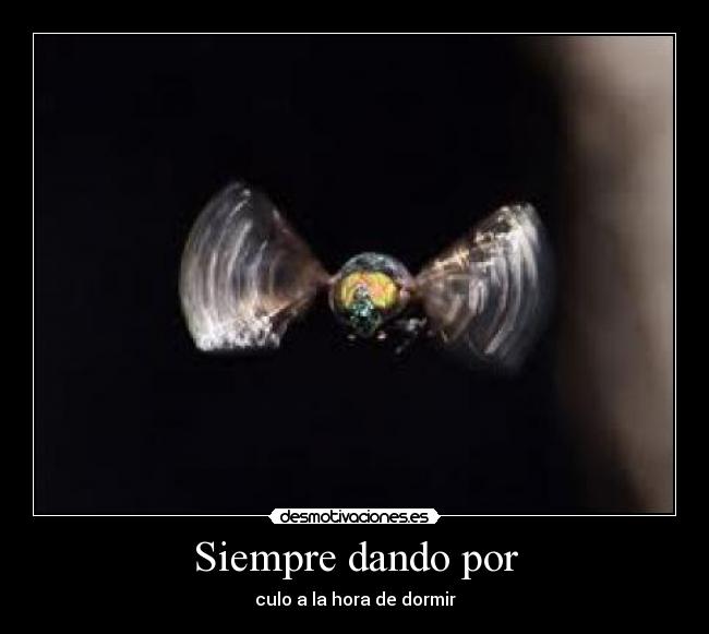 Siempre dando por - culo a la hora de dormir