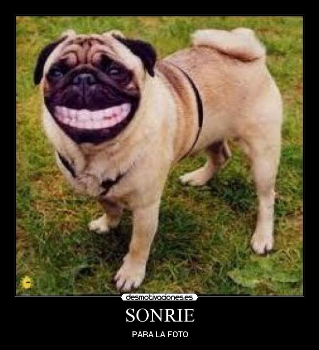 SONRIE -