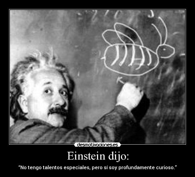 Einstein dijo: -