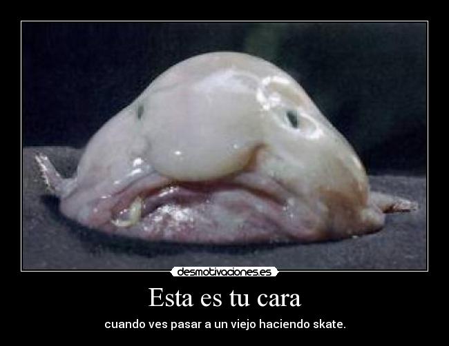 Esta es tu cara - cuando ves pasar a un viejo haciendo skate.