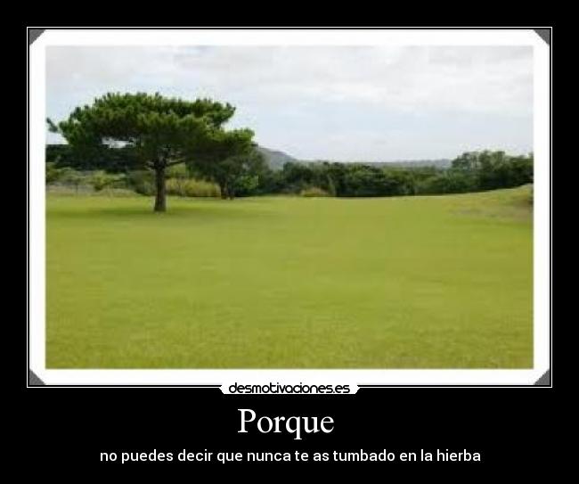 Porque  - no puedes decir que nunca te as tumbado en la hierba