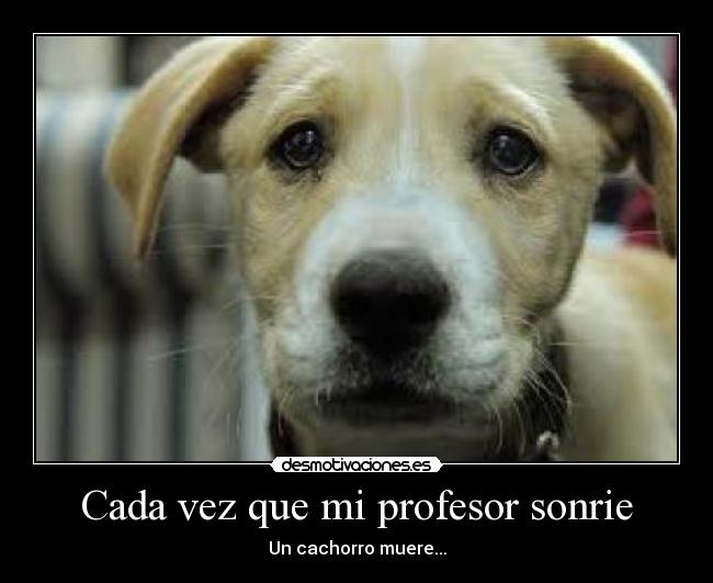 Cada vez que mi profesor sonrie -