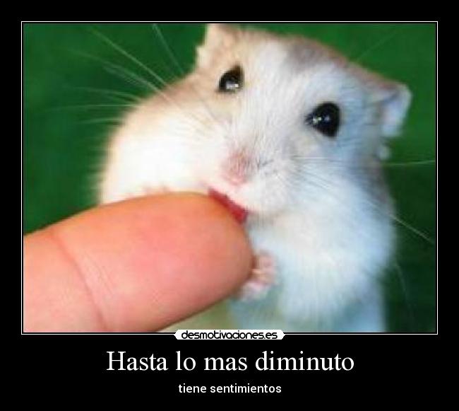 Hasta lo mas diminuto - tiene sentimientos