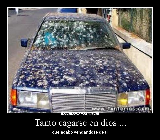 Tanto cagarse en dios ... - que acabo vengandose de ti.