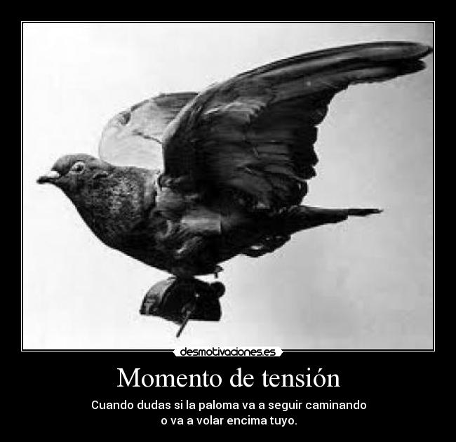 Momento de tensión - 