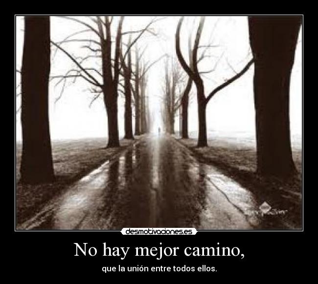 No hay mejor camino, - que la unión entre todos ellos.