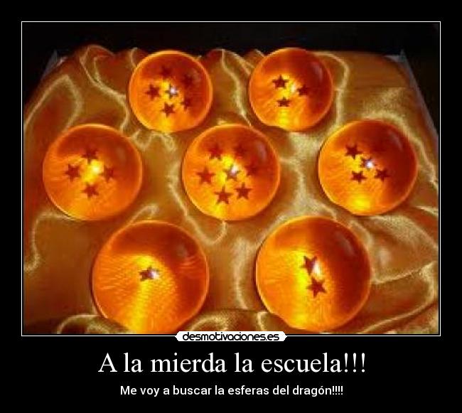 A la mierda la escuela!!! - Me voy a buscar la esferas del dragón!!!!