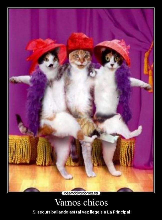 Vamos chicos - Si seguís bailando así tal vez llegeis a La Principal