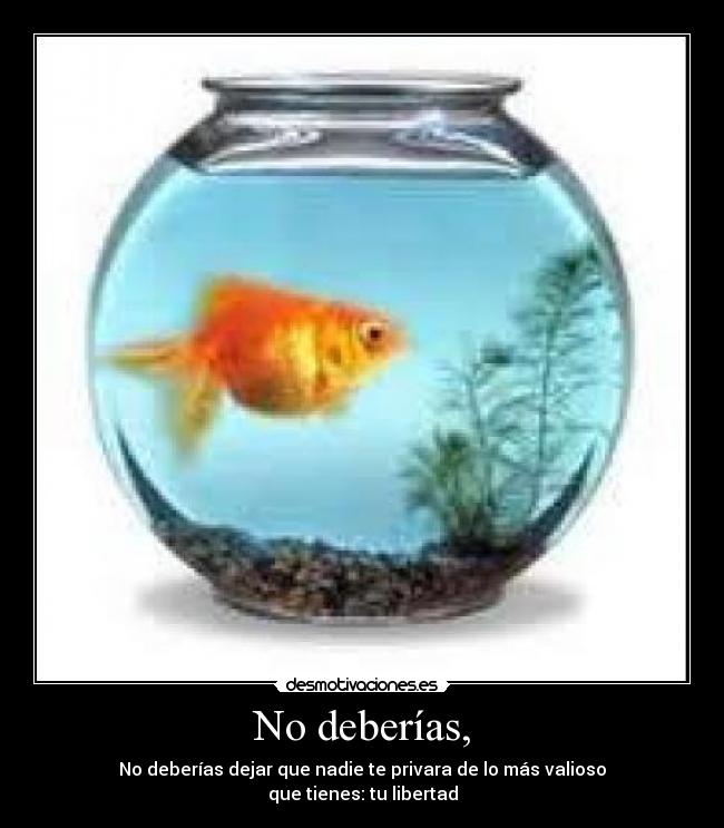 No deberías, - No deberías dejar que nadie te privara de lo más valioso
que tienes: tu libertad