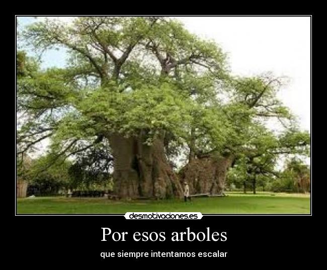Por esos arboles - 