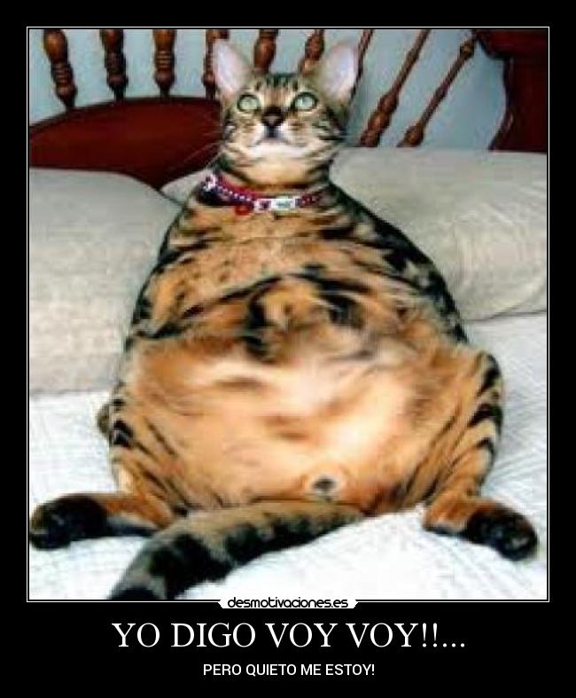 YO DIGO VOY VOY!!... - PERO QUIETO ME ESTOY!