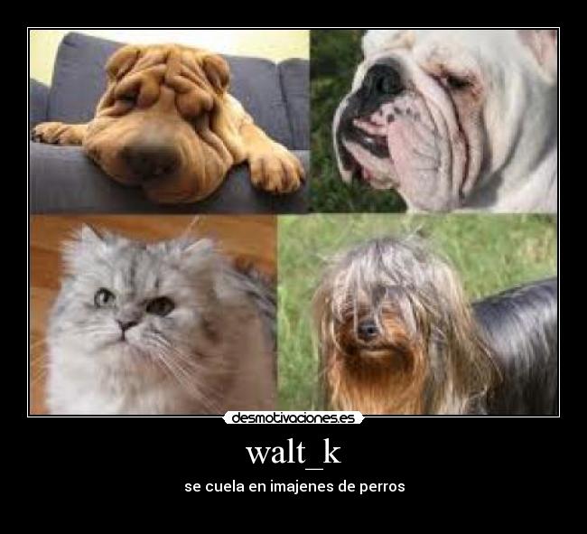 carteles walt_k desmotivaciones