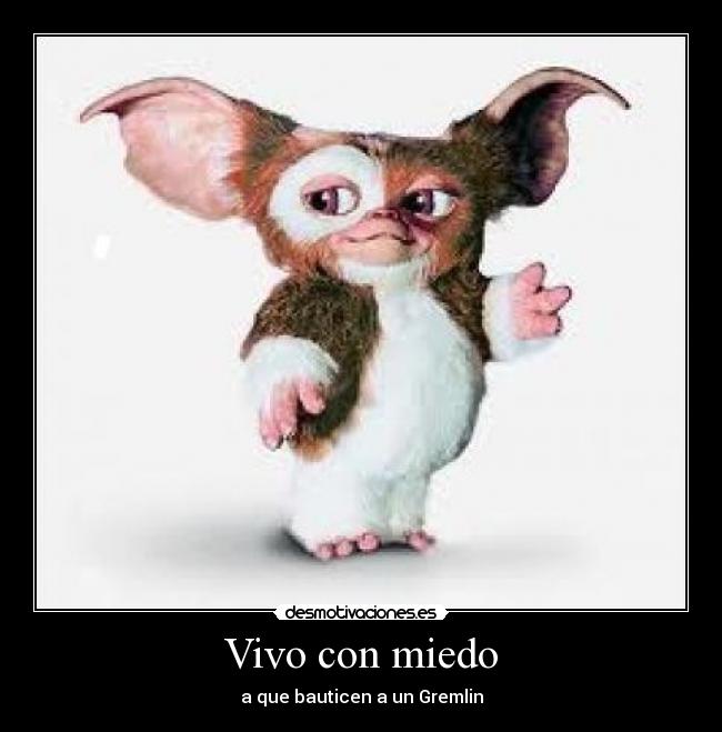 Vivo con miedo - a que bauticen a un Gremlin