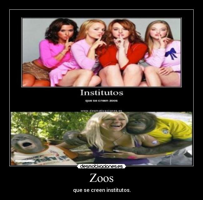 Zoos - que se creen institutos.