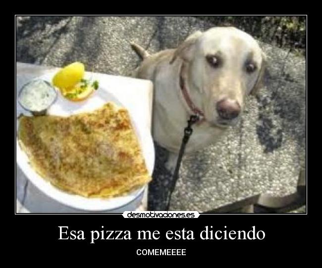 Esa pizza me esta diciendo - COMEMEEEE