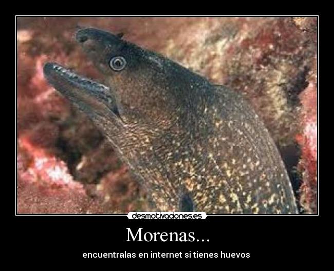 Morenas... - 