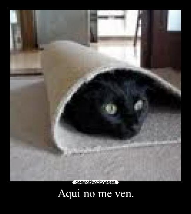 Aqui no me ven. -