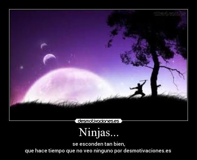 Ninjas... - 