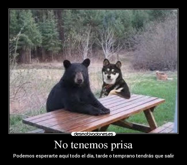 No tenemos prisa - Podemos esperarte aquí todo el día, tarde o temprano tendrás que salir