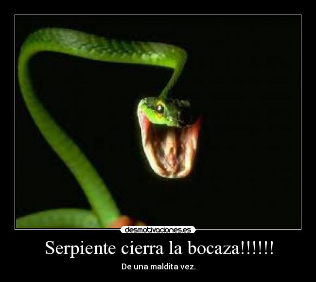 Serpiente cierra la bocaza!!!!!! - De una maldita vez.