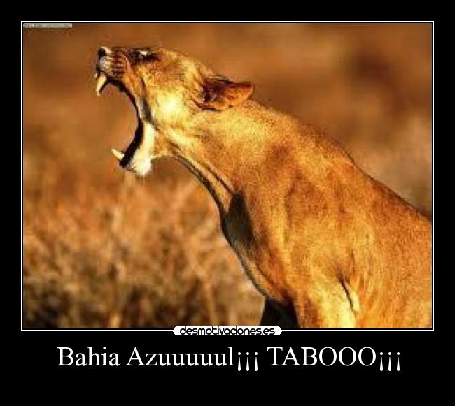 carteles taboo don omar desmotivaciones