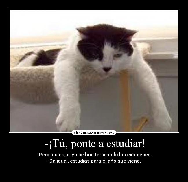 -¡Tú, ponte a estudiar! - 