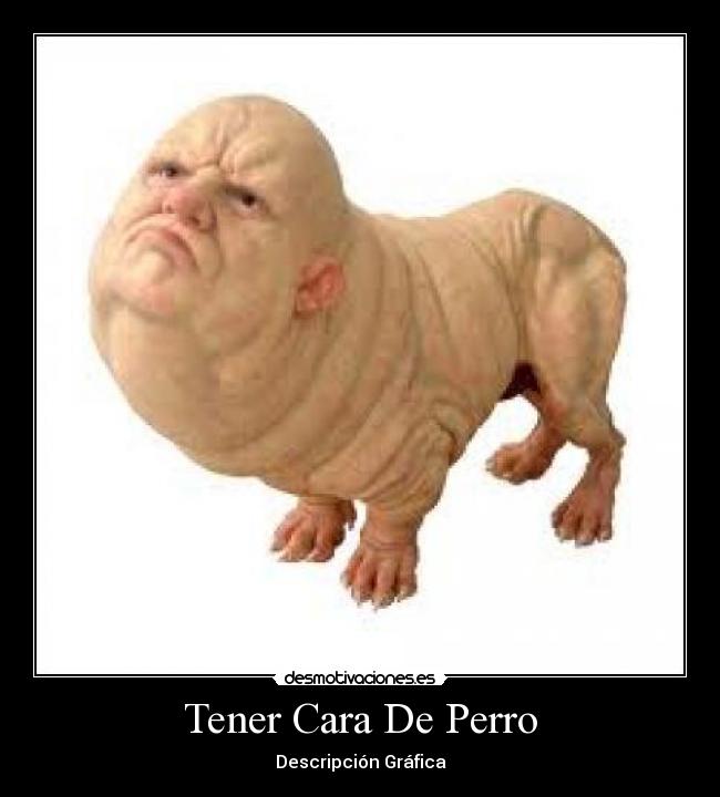 Tener Cara De Perro -
