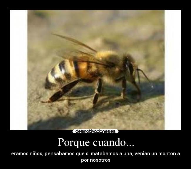 Porque cuando... - 