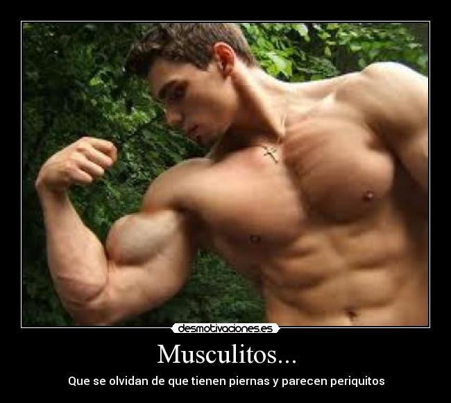 Musculitos... - Que se olvidan de que tienen piernas y parecen periquitos